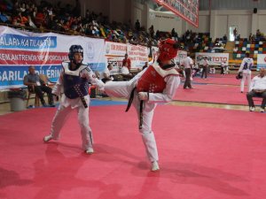 Türkiye Taekwondo Şampiyonası Sona Erdi