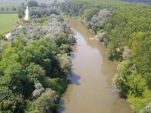 Atık Sularla Kirlenen Sakarya Nehri Havadan Görüntülendi