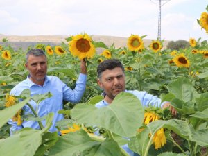 Çin Türkiye’yi Çekirdek İle Vurdu