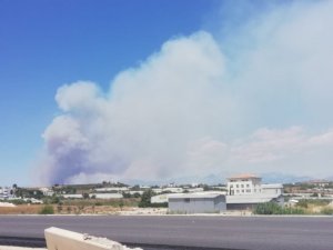 Antalya’da Orman Yangını