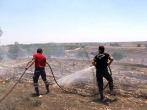 Kktc’deki Yangında 400 Dönüm Arazi Kül Oldu