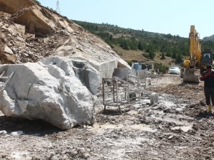 ’Zeytin Dalı’nın Balkanlar’a İhracatı Başladı
