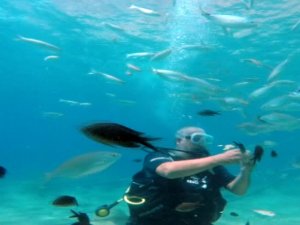 Turistlerin Yeni Gözdesi Su Altında Ekmekle Balık Beslemek