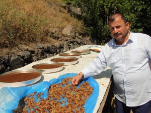 En İyi Pekmez Ve Reçellerin Sırrı: "Güneş Işığı"