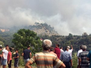Orman Yangını Kontrol Altına Alınmaya Çalışılıyor