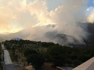 Orman Yangınında Soğutma Çalışmaları Sürüyor