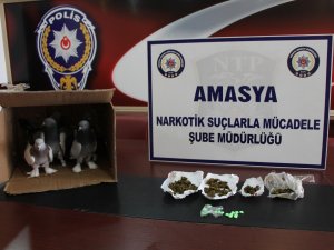 Güvercinlerin Arasından Uyuşturucu Çıktı