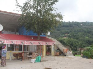 Kesmeye Kıyamadıkları Armut Ağacını Böyle Korumaya Aldılar