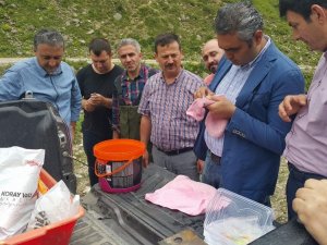 Bin 461 Gün Sonra Bırakıldıkları Derelerde İncelendiler