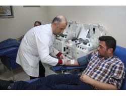 “kan Bağışçısı Yılda 24 Defa Aferez Verebilir”