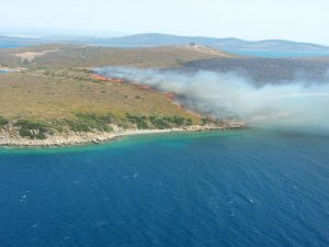 Ayvalık Maden Adasında Orman Yangını