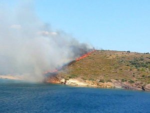 Ayvalık Maden Adasında Orman Yangını Kontrol Altına Alındı