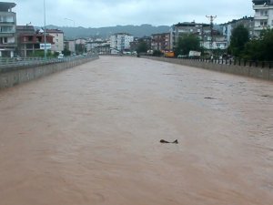 Sel Bu Kez Ünye’yi Vurdu
