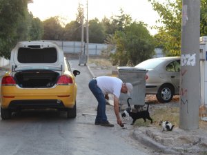Hayvansever Taksiciden İnsanlık Dersi