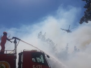Antalya’da Orman Yangını