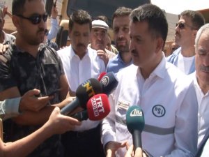 "Ordu’da Ve Antalya’da Üreticinin Zararı Karşılanacak"