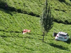 Trabzon’da Otomobil Çay Bahçesine Uçtu: 1 Ölü