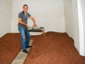 Serbest Piyasada Fındığın Kilo Fiyatı 14 Liraya Dayandı