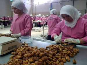Çinlilerden Aydın İncirine Yakın Markaj