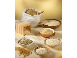 Pirinç, Kadınlarda Beyin Kanamasını Önlüyor