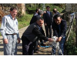 Mahalleye Su Geldi, Yatak Ambargosu Kalktı