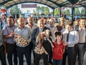 Üreticiler En İyi Olmak İçin Yarıştı