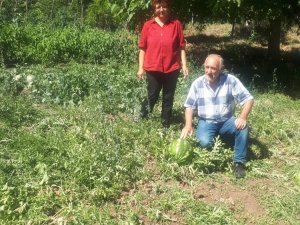 Ekolojik Pazar Projesiyle Organik Tarım Değer Kazanıyor