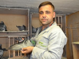 Mesafe Tanımayan Güvercin Sahibine Kupa Kazandırdı