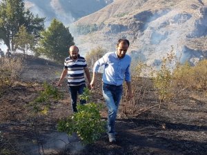 Gümüşhane’deki Örtü Yangını Kontrol Altına Alındı