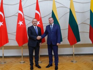 Çavuşoğlu, Litvanya Başbakanı Skvernelis İle Görüştü