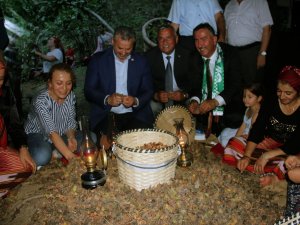 Fındığın Başkentinde Fındık Festivali