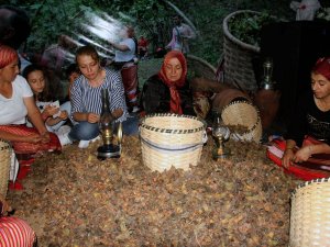 Fındığın Başkentinde ’Fındık Festivali’
