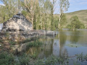 Baraj Gölü Yaban Hayatına Ev Sahipliği Yapıyor