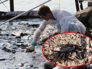 Foça’da Denizdeki Kirlilik Havadan Görüntülendi