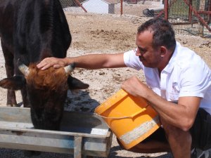 Haluk Levent Dana Ferdinand’ı Ziyaret Etti