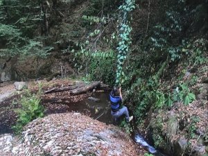 Tarzan’a Özendi Ama Finalde Suya Düştü