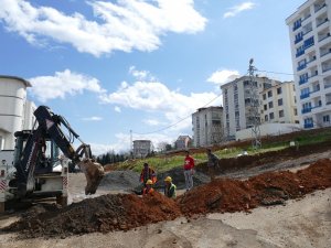 Trabzon’da Doğalgaz Kullanım Oranı Yüzde 70’i Aştı