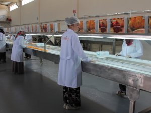 Devlet Desteği İle 2 Milyon Tl’lik Kayısı Tesisi Kurdu