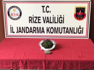 Rize’de Kaçakçılara Geçit Yok