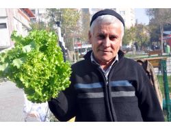 İstanbul'da Cep Yakan Sebzeler Balıkesir'de Sudan Ucuz