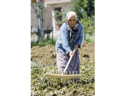 Tarımda Türkiye’nin Kalbi Ordu