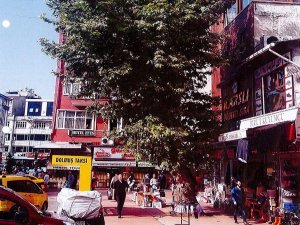 Rize Belediyesi Çınar Ağacının İnceleme Raporunu Yayınladı