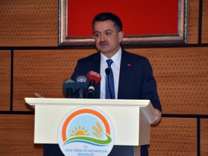 Bakan Pakdemirli Zeytin Rekoltesini Açıkladı