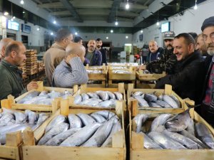 Türkiye’nin Palamudu Karadeniz’den
