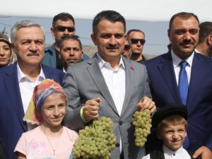 Mısır Üreticilerine Müjde