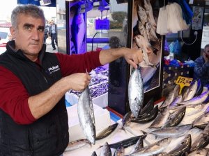 Trabzon’da Palamutta Sezonun En Verimsiz Günü Yaşanıyor