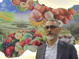 Fındık Fiyatı 12.5 Liraya Geriledi