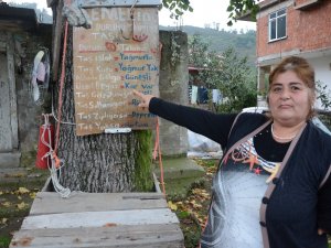 Temel’in Hava Durumu Tahmin Taşı Gülümsetiyor