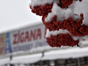 Zigana Dağı Beyaz Gelinliğini Giydi