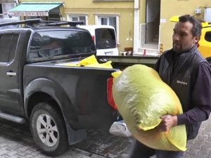 Giresunlu Fındık Üreticileri Cumhurbaşkanı Erdoğan’ın Açıkladığı Fındık Fiyatını Değerlendirdi